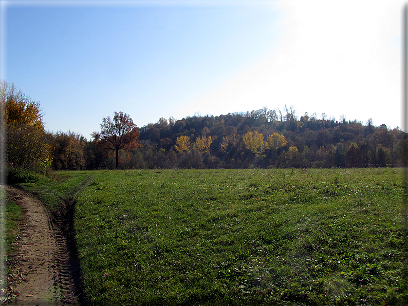 foto Paesaggi Autunnali tra le colline Fontesi